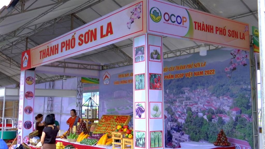 Đặc sắc những gian hàng của Thành phố Sơn La tại Festival trái cây